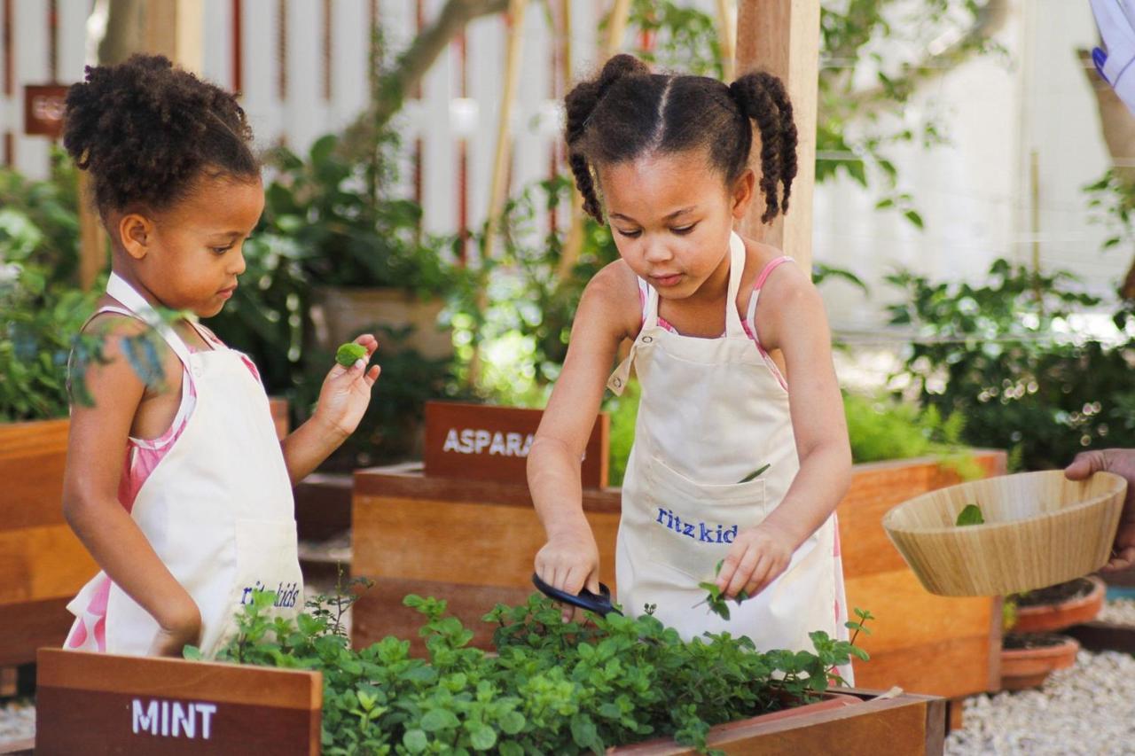 เดอะ ริตซ์-คาร์ลตัน โดฮา Hotel ภายนอก รูปภาพ Children working in a garden