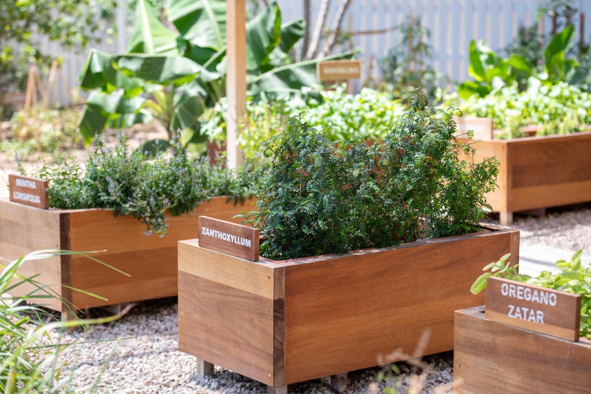 เดอะ ริตซ์-คาร์ลตัน โดฮา Hotel ภายนอก รูปภาพ Raised beds in a garden
