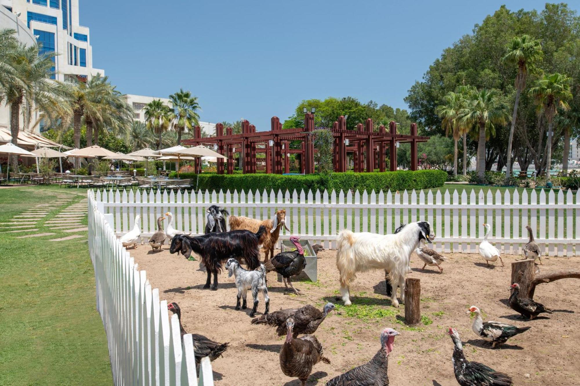 เดอะ ริตซ์-คาร์ลตัน โดฮา Hotel ภายนอก รูปภาพ The farm at the resort